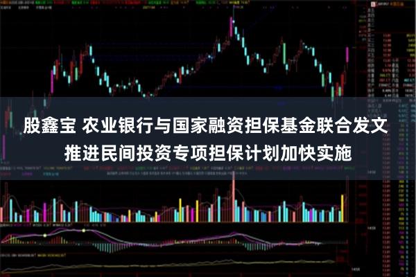 股鑫宝 农业银行与国家融资担保基金联合发文 推进民间投资专项担保计划加快实施