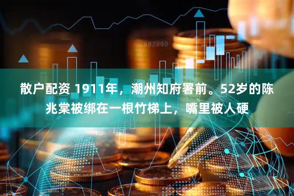 散户配资 1911年,潮州知府署前。52岁的陈兆棠被绑在一根竹梯上,嘴里被人硬